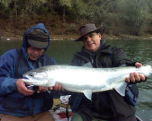 Steelhead Fishing