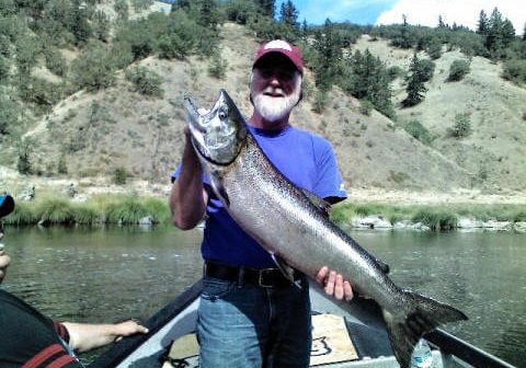 Fall Chinook