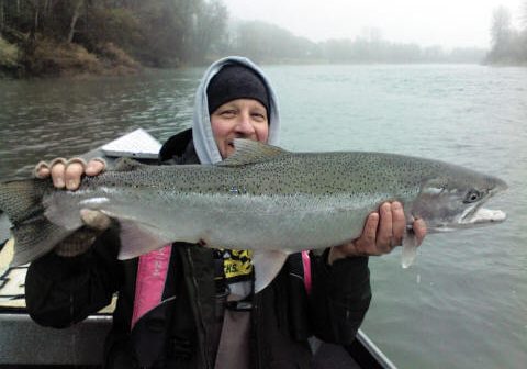 winter steelhead